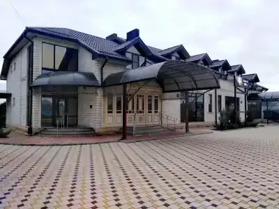 Золотой лев - 0