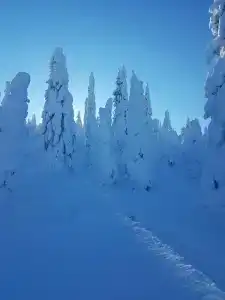 Искушта Хаятт - 36