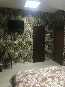 Кингфишер - 11