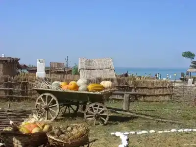 Звезда Тамани - 2