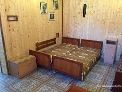 ДиНа - 19