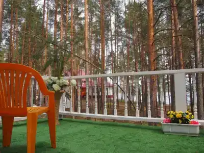 Дивная усадьба - 37