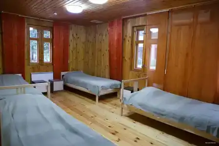Лесной квартал - 19