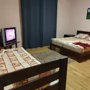 Спутник - 5