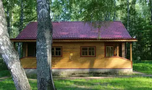 Подсолнухи - 16