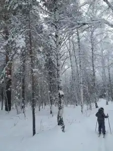 Незабудка - 20