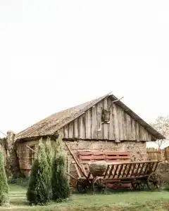 Лосиный остров - 1