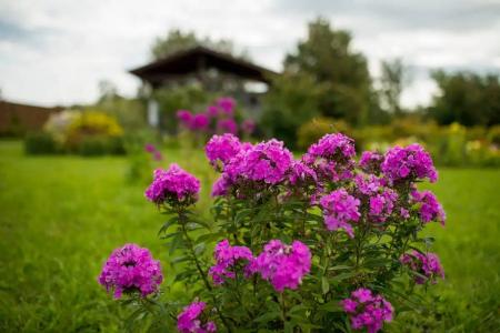 Суздальский Дворик - 14