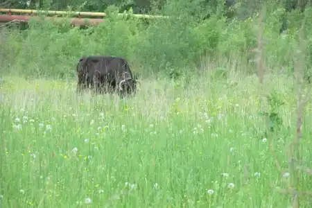 Владимирский Хуторок - 31