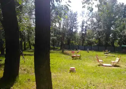 Медуница - 2