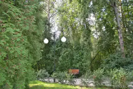 Белое солнце - 1