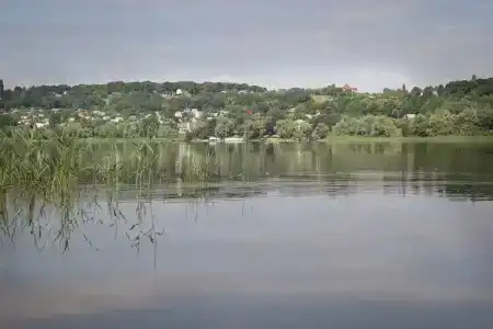 Дубовая Грива - 67