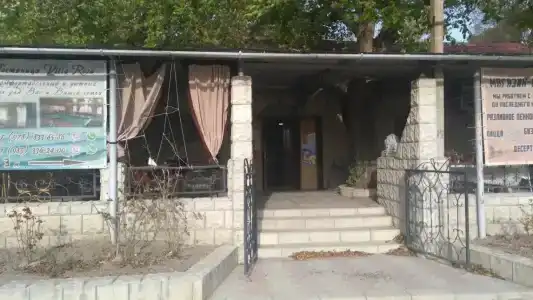 Роза - 0
