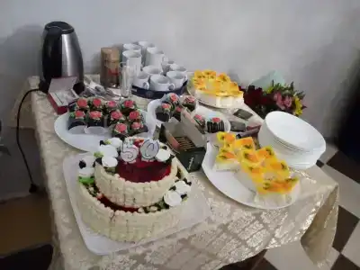 Новое место - 14