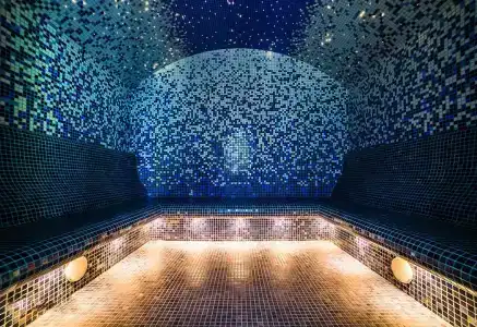 Медикал Спа Резорт Альфа Радон - 60