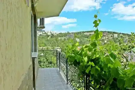 Три Дельфина - 30