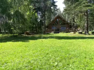 Берендеев лес - 36