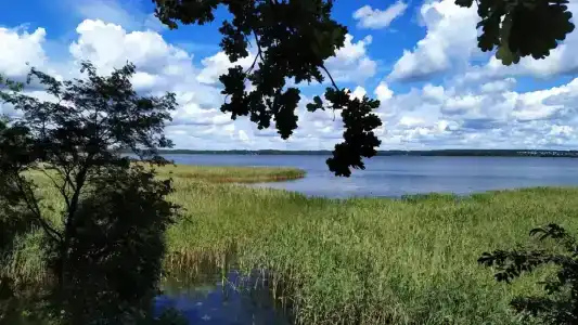 Озеро Белое - 1