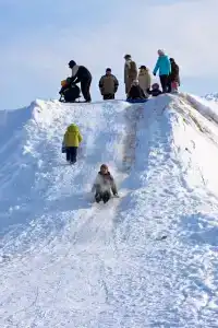 Любляна - 35
