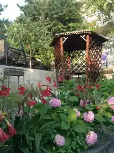 Усадьба Полуниной - 11