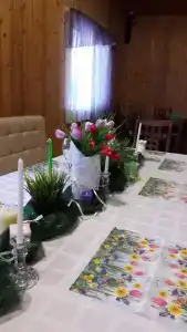 Стриж хаус - 62