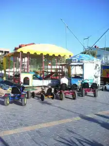 Ива - 3