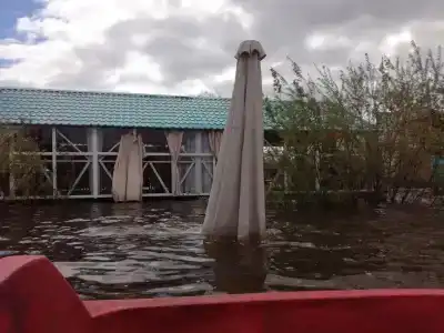 Чистый бережок - 41