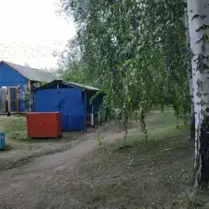 Бодрость - 13