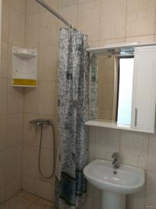 Алиса - 27