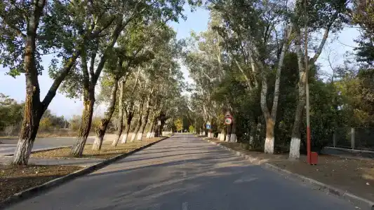 Алые паруса - 41