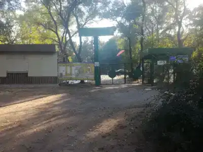Лесовичок - 13