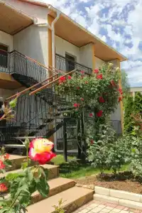 Фламинго - 25
