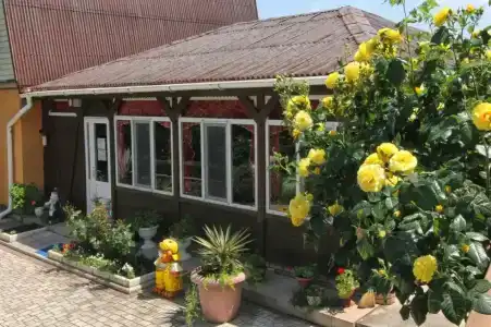 Фламинго - 20