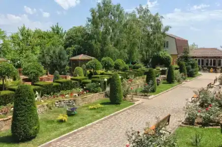 Фламинго - 22