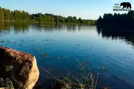 Медведица - 12