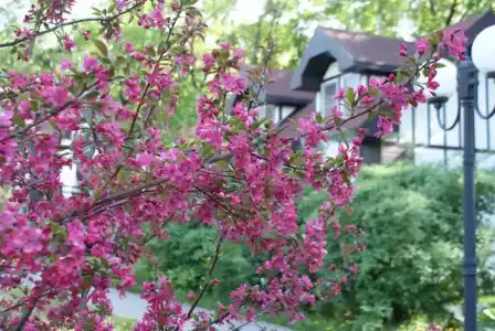 Марафон - 4