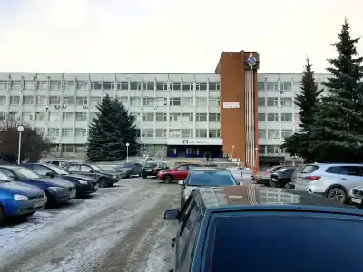 Березовая роща - 4