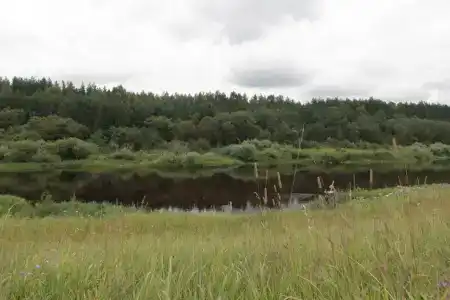 Нестеровых - 12