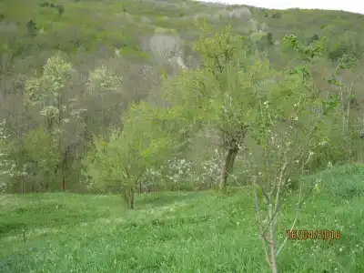 База отдыха у Иваныча - 52