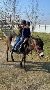 Страусиное ранчо - 10