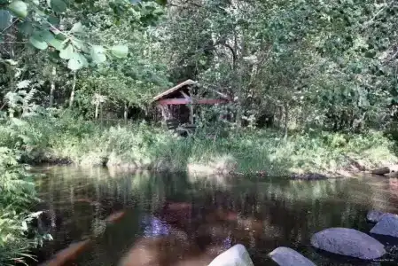 Трест грии - 2
