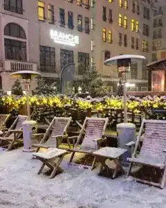 Голден Тюлип - 17