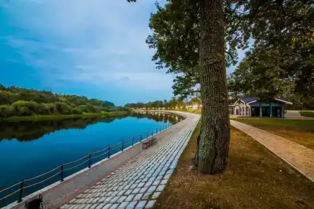 Березинская Дубрава - 8