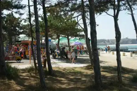 Ива - 8