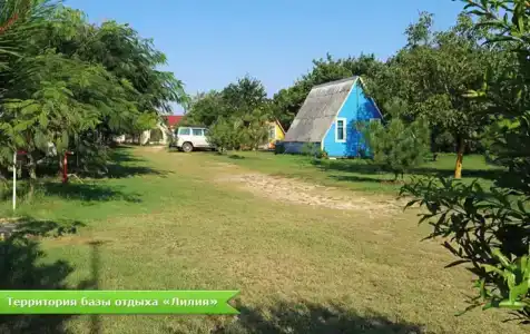 Лилия - 25