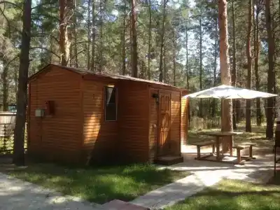 Чайка - 43