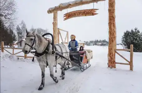 Усадьба Долгорукий - 15