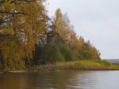 Дом рыбака Большая Медведица - 41