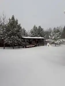 Стриж хаус - 49