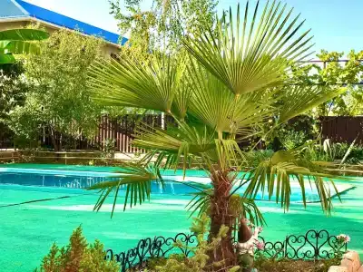 Дом Солнца - 56